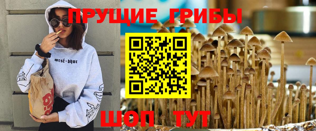 Псилоцибиновые грибы ЛСД  Вход с VPN  купить  цена  Белебей 